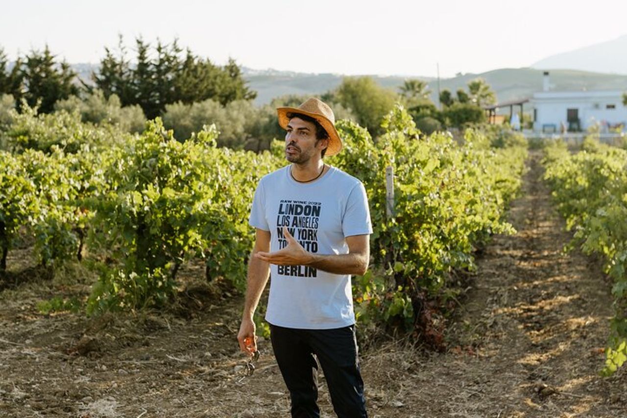 Degustazione di vino, olio e miele, da Alcamo e C/mmare Golfo — 5