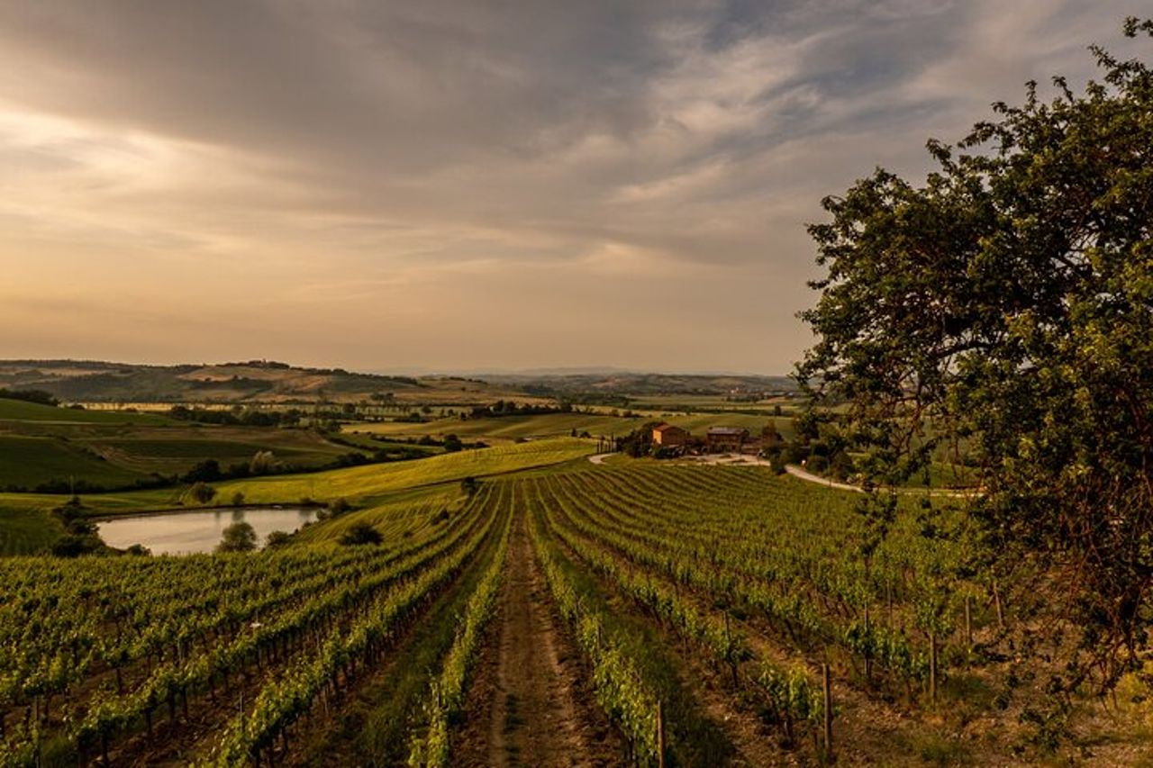 Da Montalcino Brunello di Montalcino Wine Tour con pranzo — 4