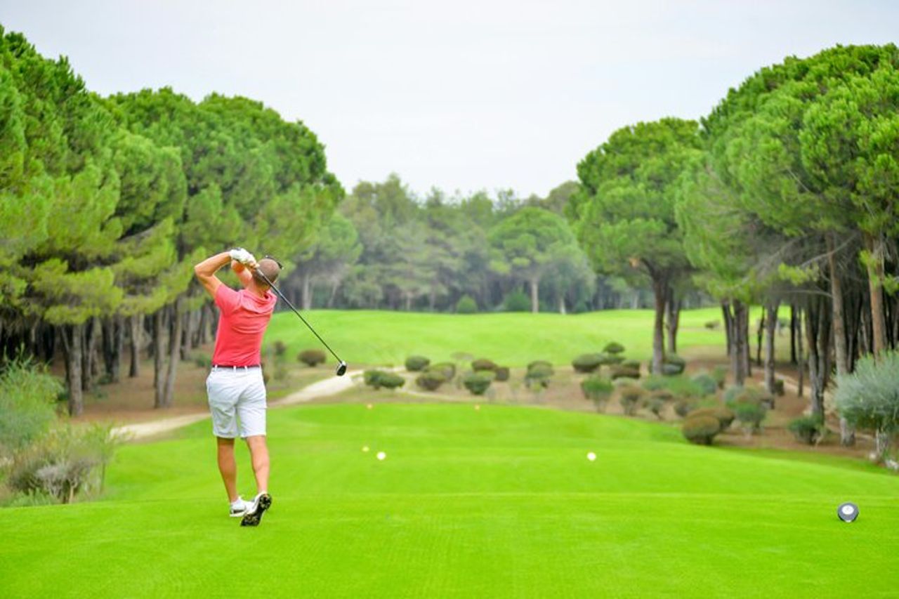 Tour privato di 1 ora di golf professionale a Nerja
