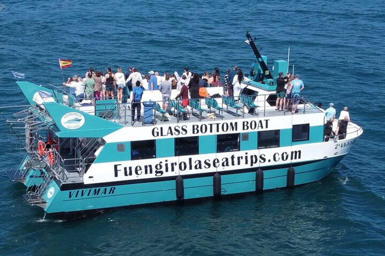 Osservazione dei delfini su un catamarano a Fuengirola — 2
