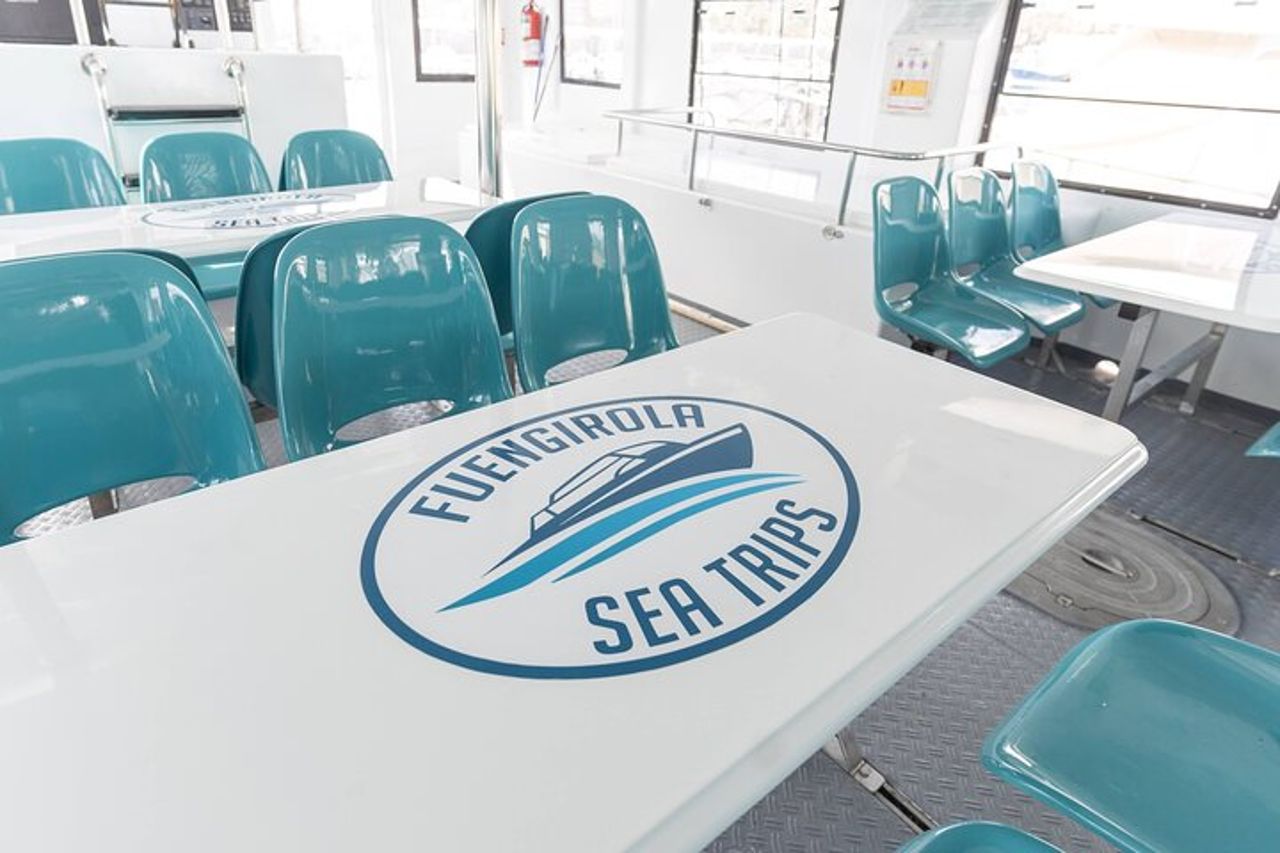 Osservazione dei delfini su un catamarano a Fuengirola — 4