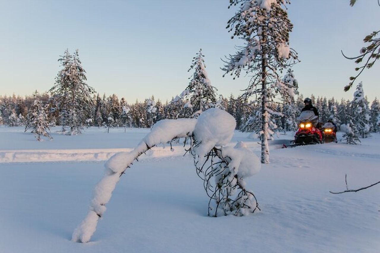 Motoslitta di 2 ore a Ylläs — 3
