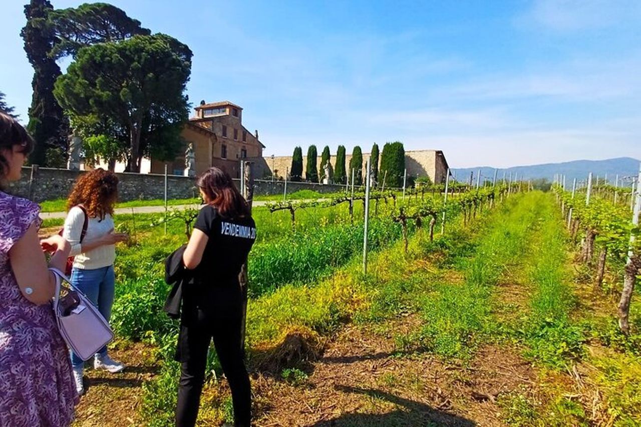 Lago d'Iseo & Cantina Franciacorta. Scenic & Wine Tasting tour — 2
