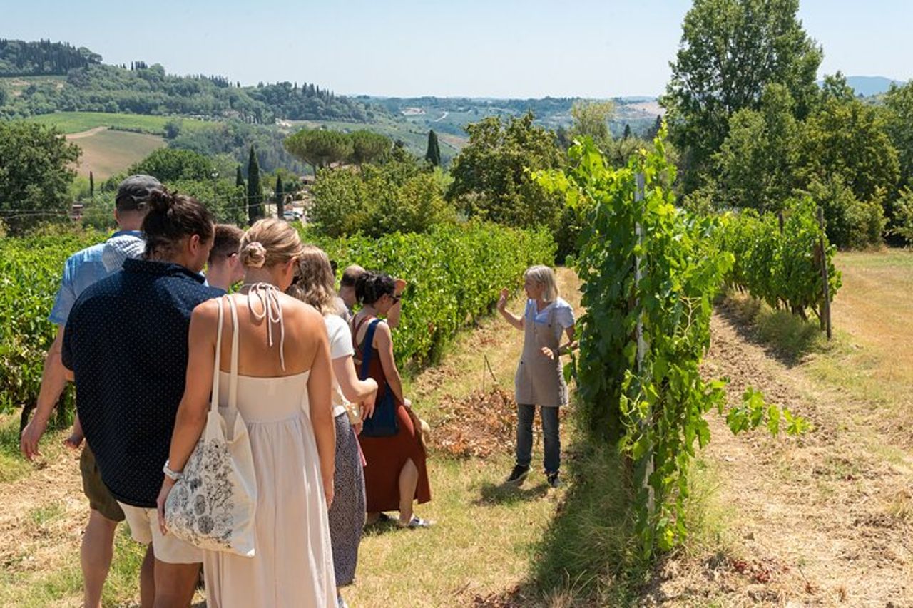 Tour completo con pranzo e degustazione — 2