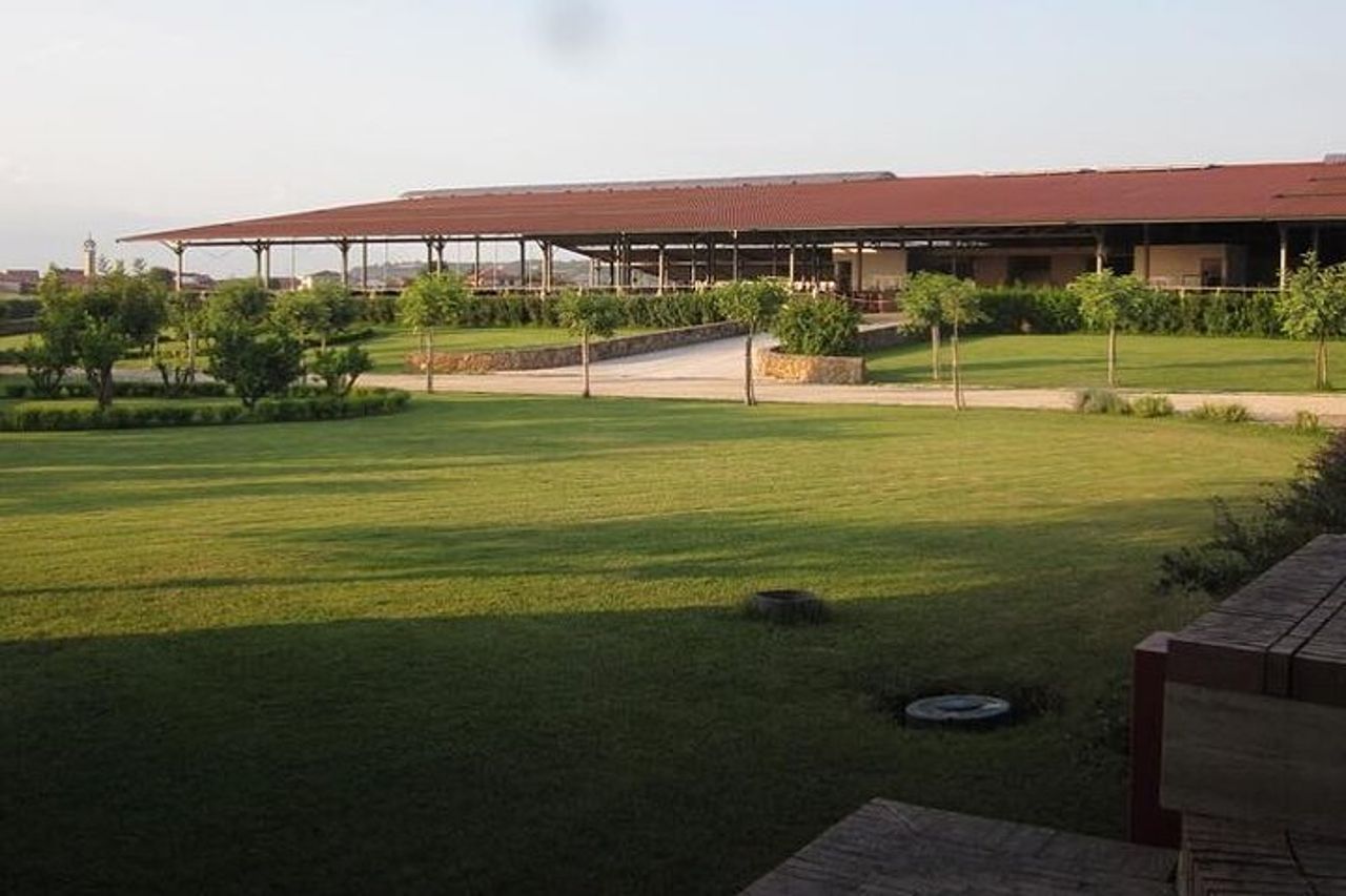 Tour Privato: Paestum, Visita guidata Mozzarella Bufala e pranzo — 6