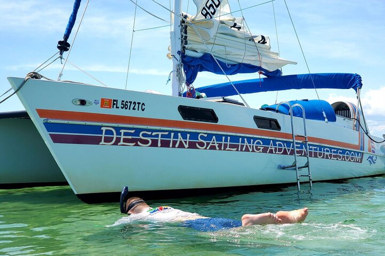 Catamarano privato: snorkeling, nuoto e osservazione dei delfini — 3