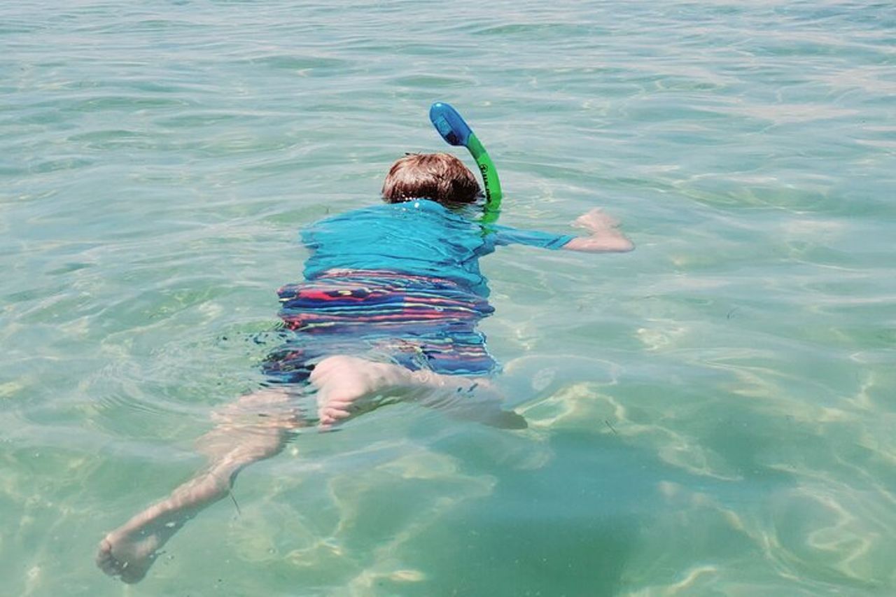 Catamarano privato: snorkeling, nuoto e osservazione dei delfini — 4