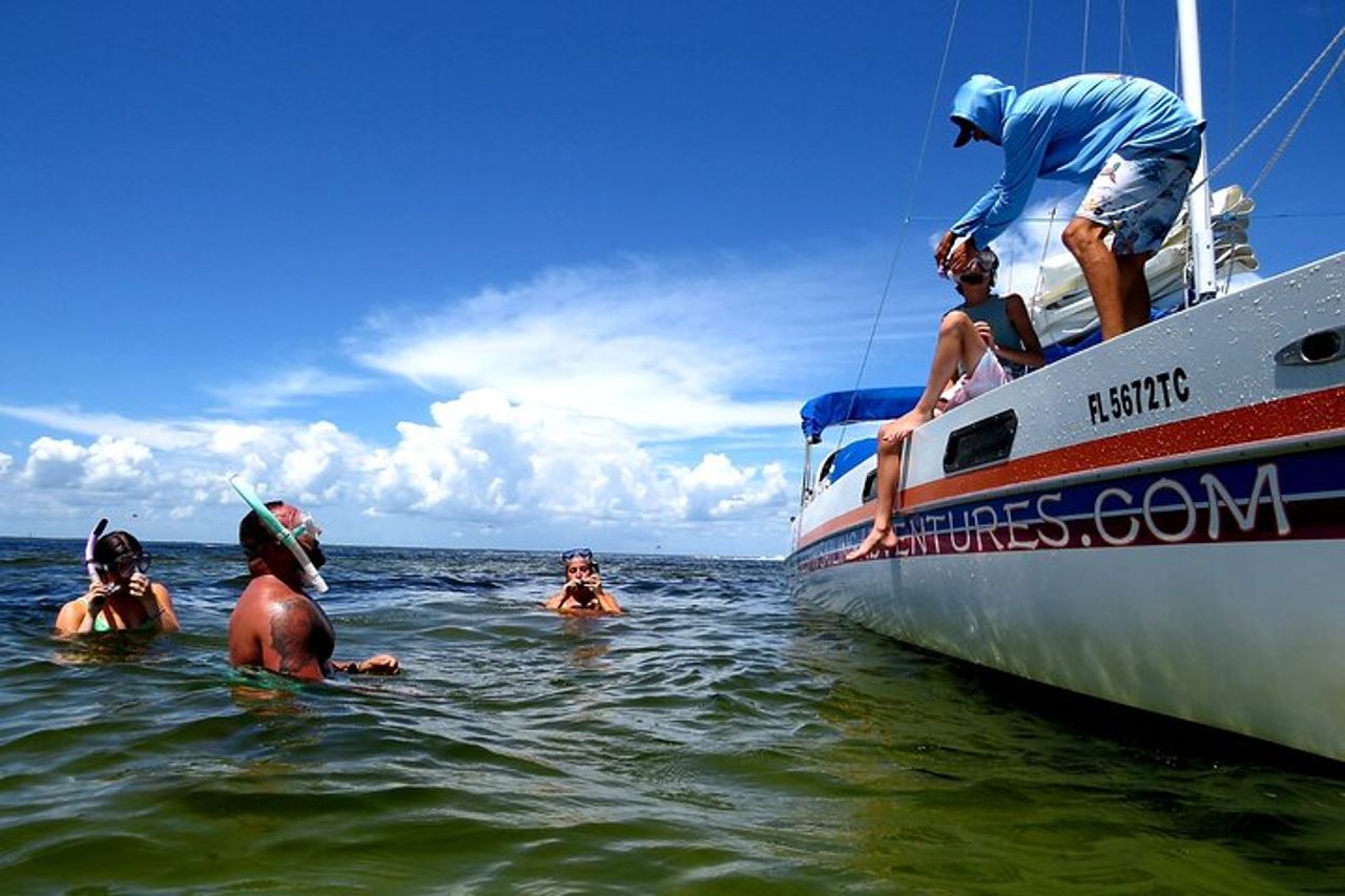 Catamarano privato: snorkeling, nuoto e osservazione dei delfini