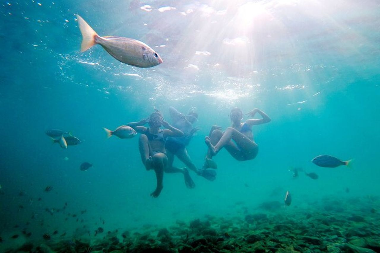 Catamarano privato: snorkeling, nuoto e osservazione dei delfini — 5