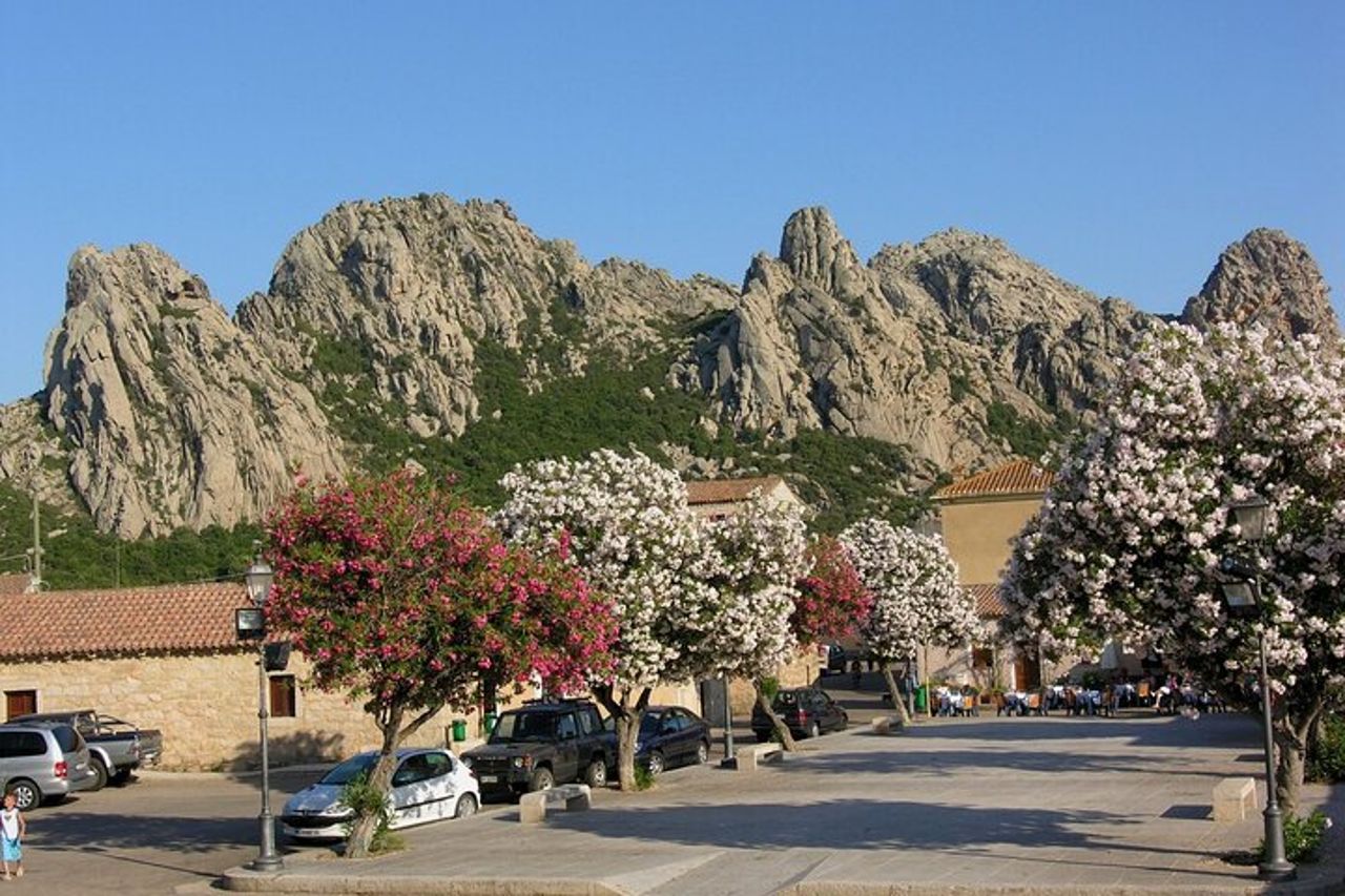 Olbia e Costa Smeralda per i passeggeri delle crociere — 6