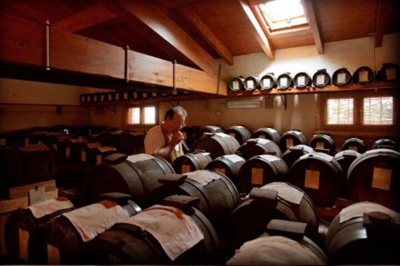 Modena: Visita e Degustazione Gourmet Aceto Balsamico DOP e BIO — 2