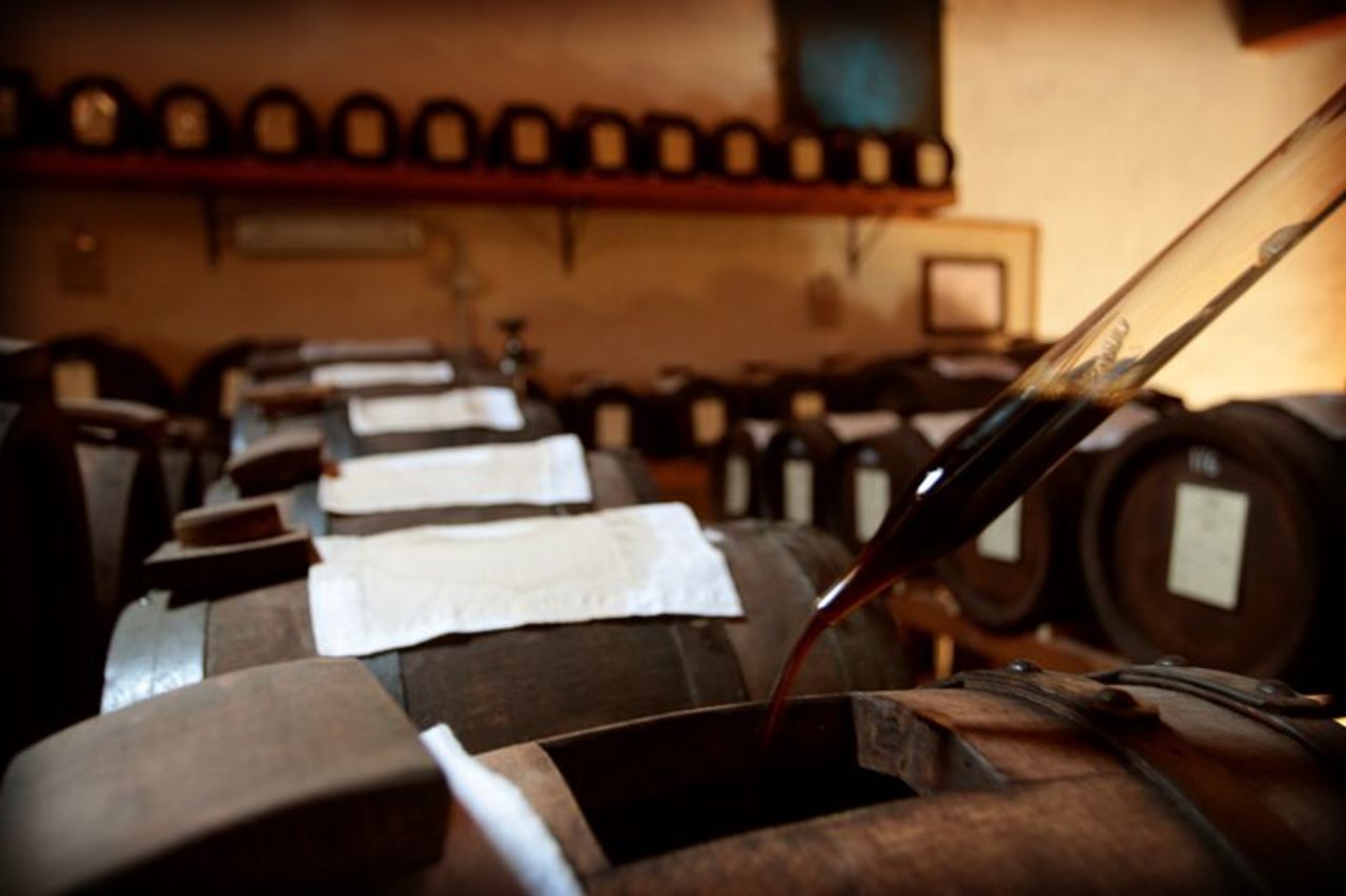 Modena: Visita e Degustazione Gourmet Aceto Balsamico DOP e BIO — 4
