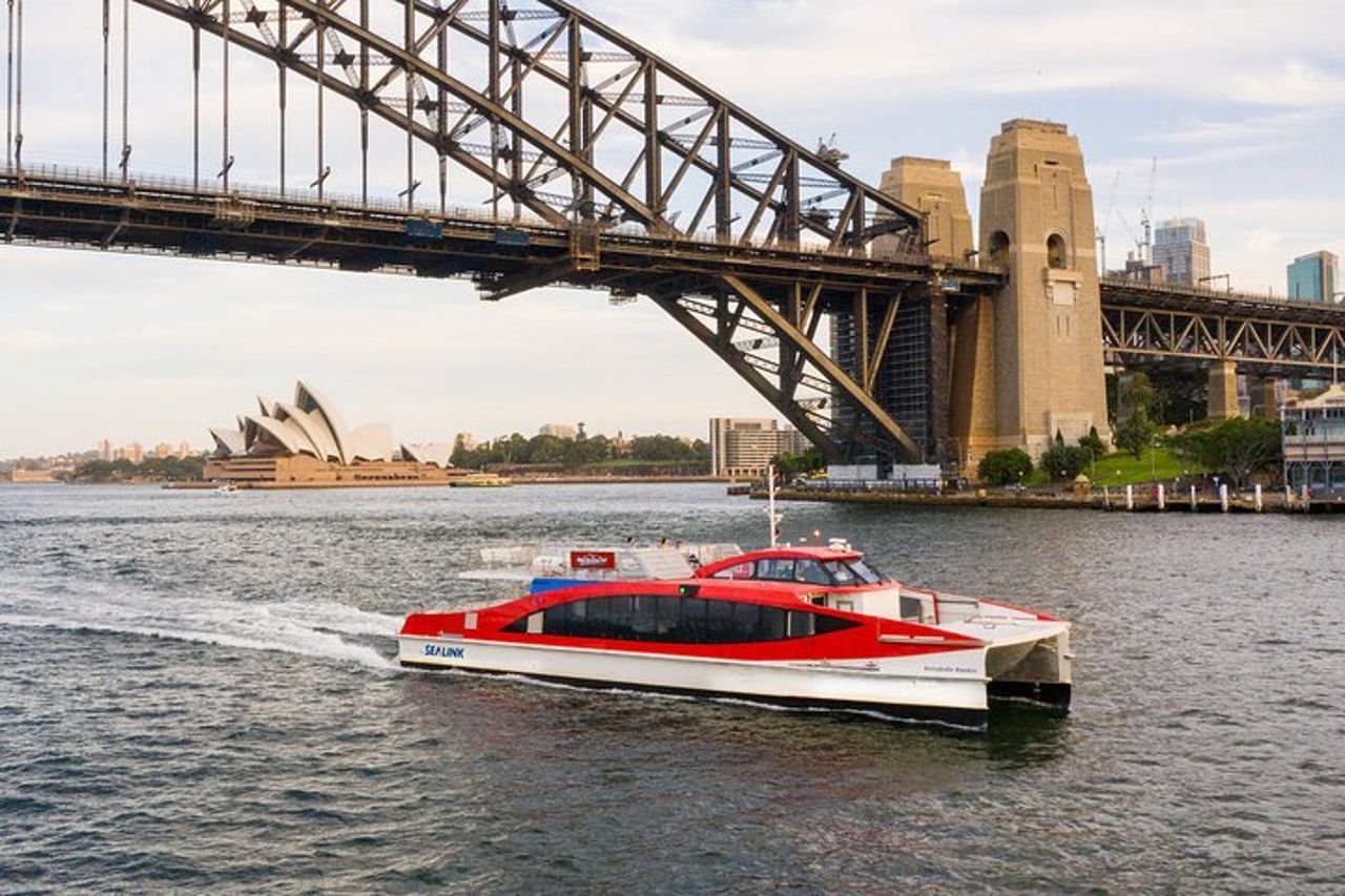 Esperienza di crociera turistica nel porto di Sydney — 4