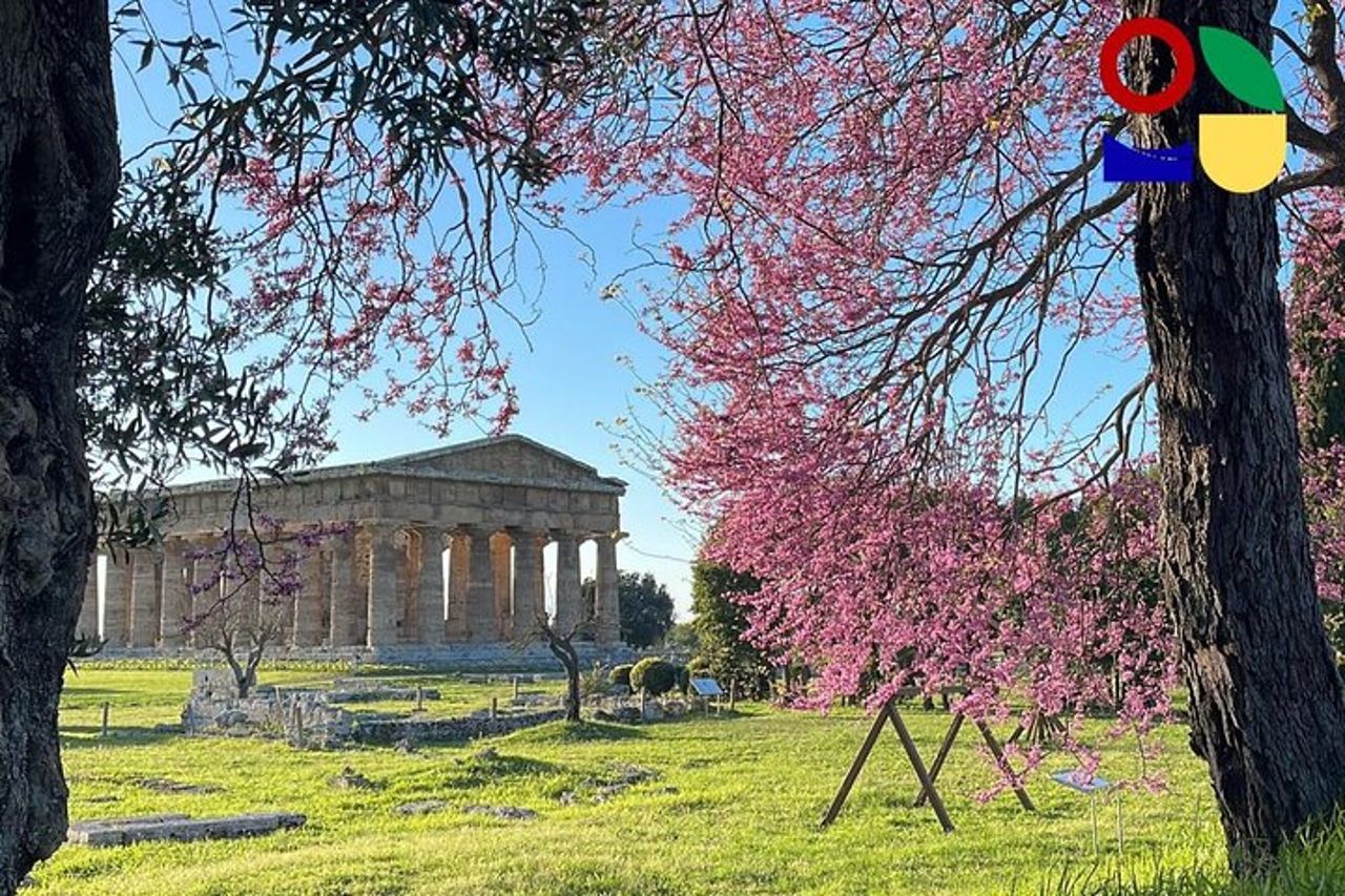 Paestum Orientation Tour — 8