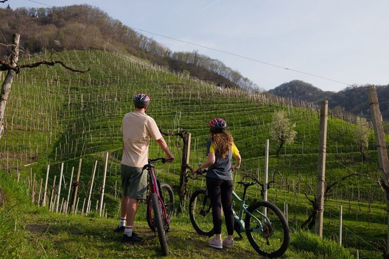 Valdobbiadene in e-bike tra vigneti - Colline del Prosecco UNESCO — 5