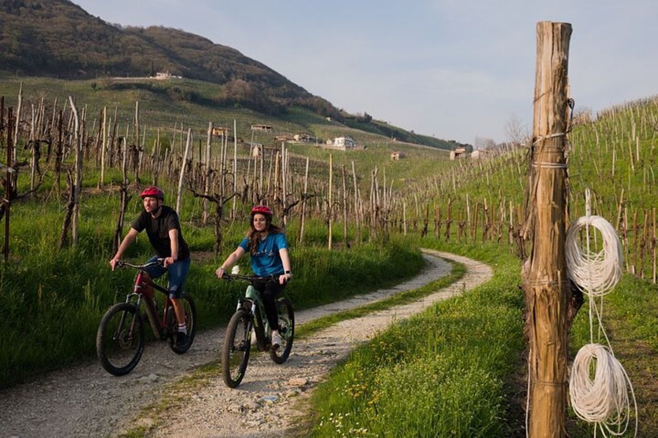 Valdobbiadene in e-bike tra vigneti - Colline del Prosecco UNESCO — 9