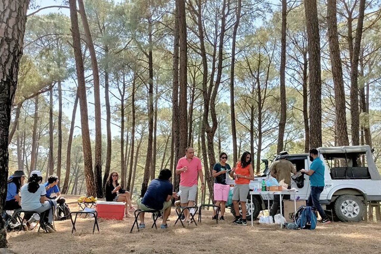 Safari in jeep e picnic — 2