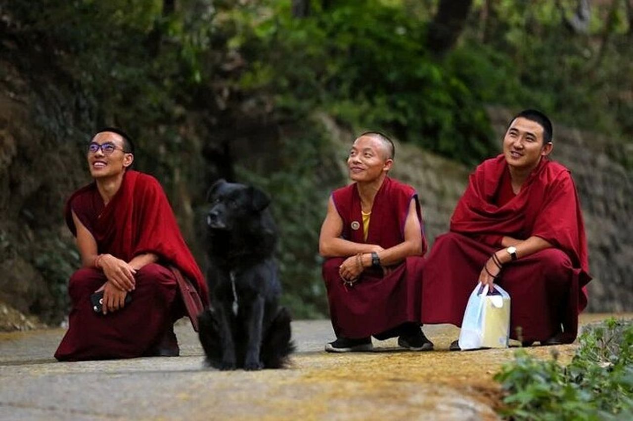 Tour guidato di 6 ore dei monasteri tibetani di Dharamshala e del convento — 7