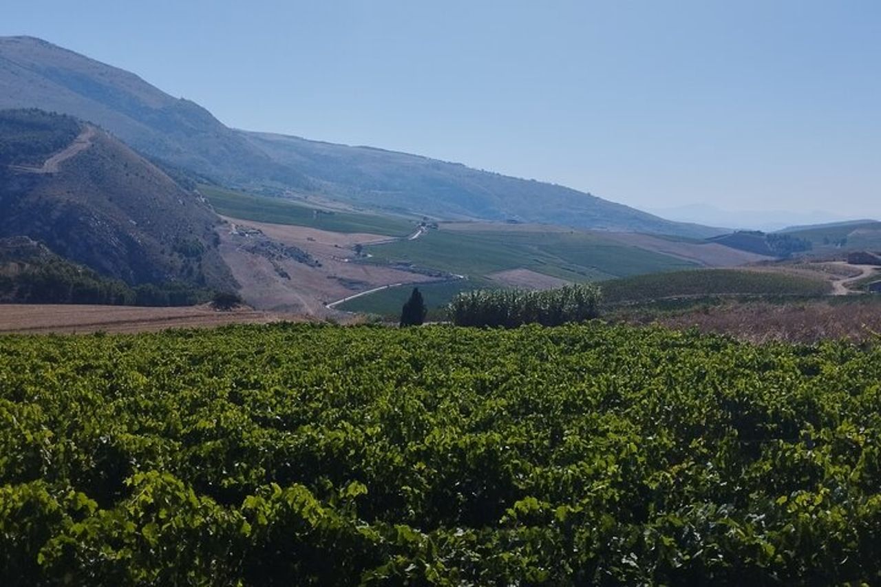 Tour alla scoperta della campagna siciliana in E-bike — 7