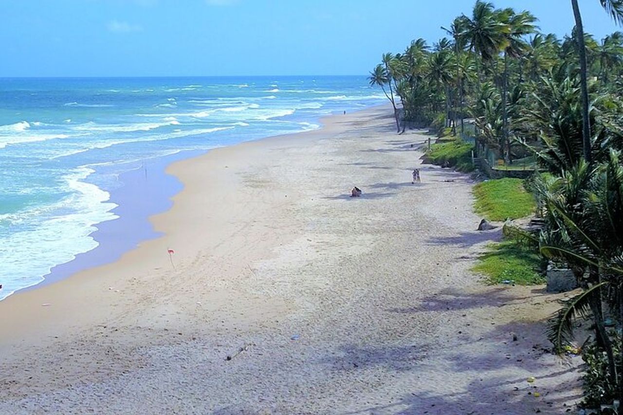 Tour di un'intera giornata in spiaggia da Salvador a Praia do Forte — 9