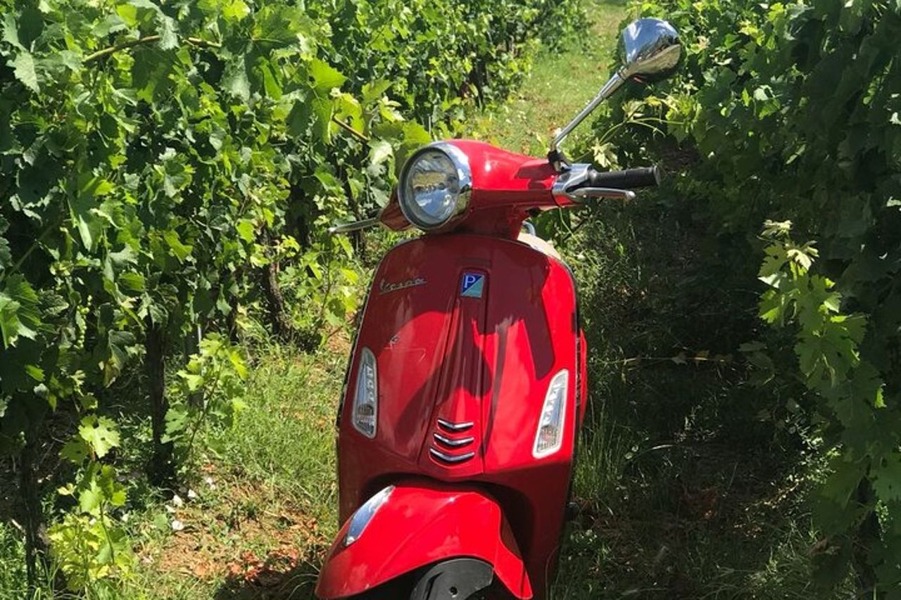 Tour in Vespa nel Chianti — 8