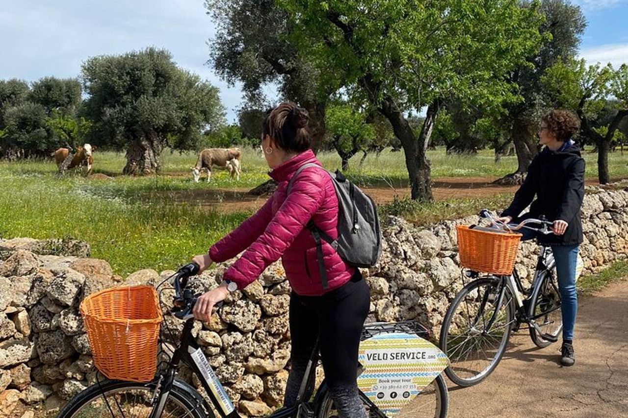 Noleggio bici a Bari — 9