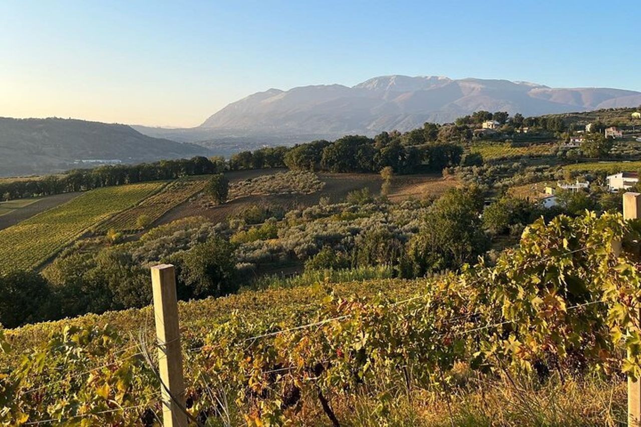 Tour e degustazione in cantina in Abruzzo — 7