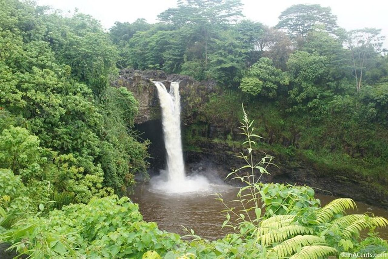 Dal tour condiviso dei vulcani e delle cascate della Big Island Kona — 4