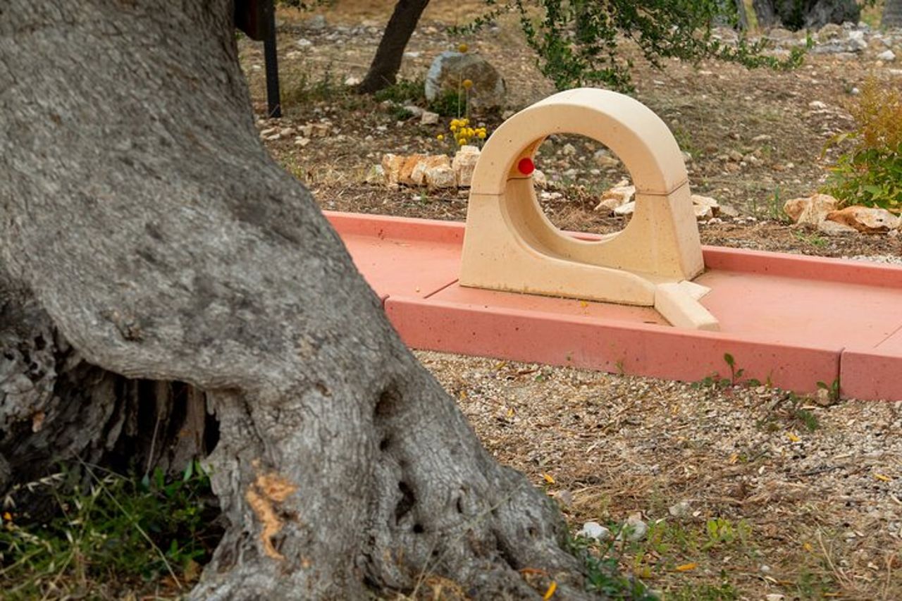 Degustazione del nostro olio e partita di adventure Golf 18 Buche — 7