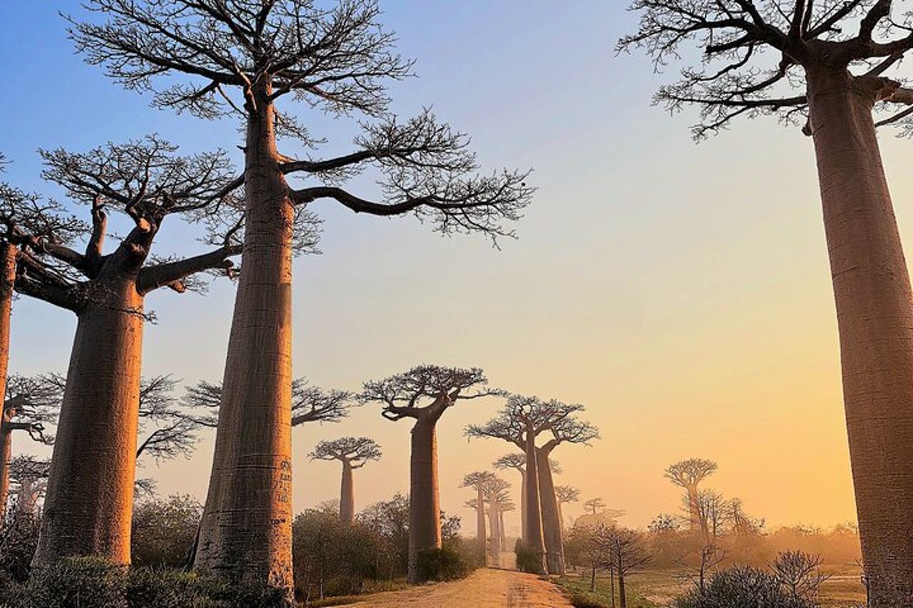 Tour privato di 12 giorni in Madagascar