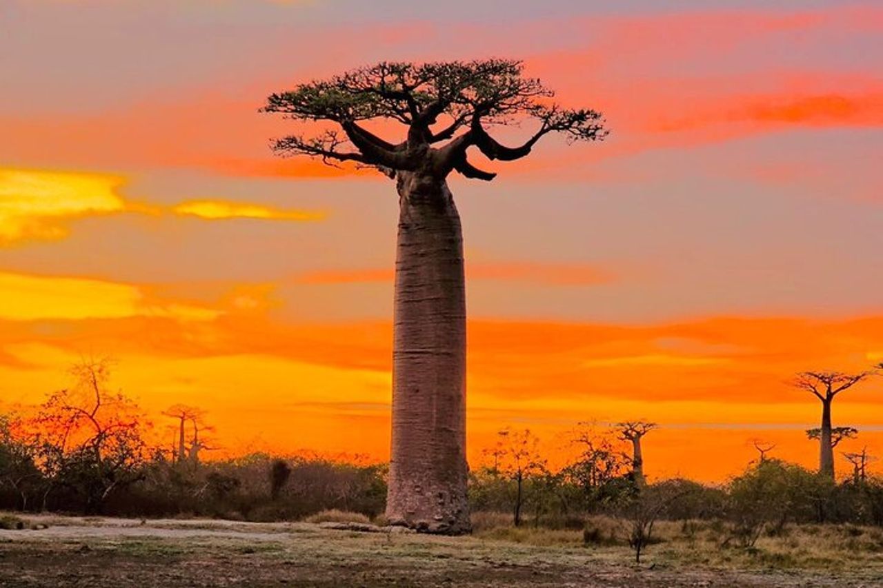 Tour privato di 12 giorni in Madagascar — 2