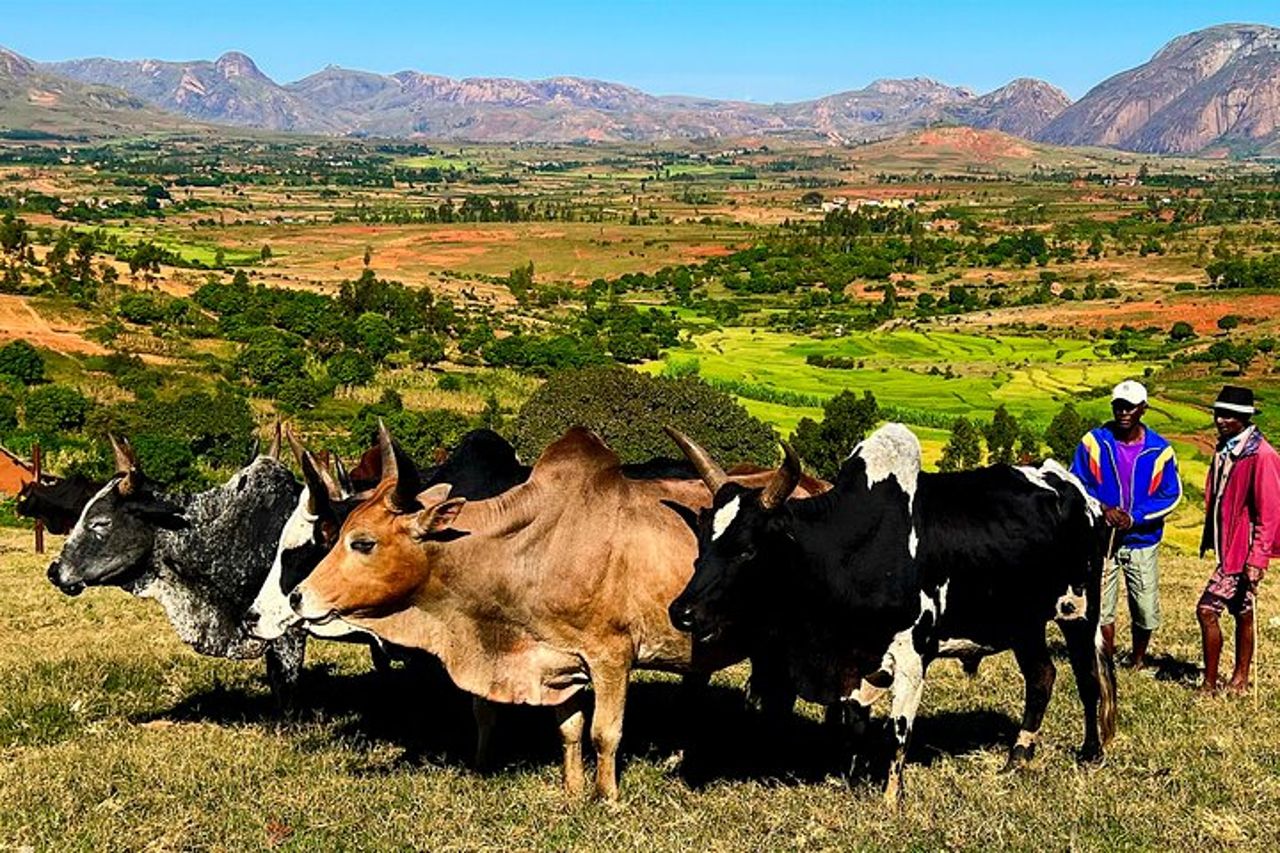 Tour privato di 12 giorni in Madagascar — 4