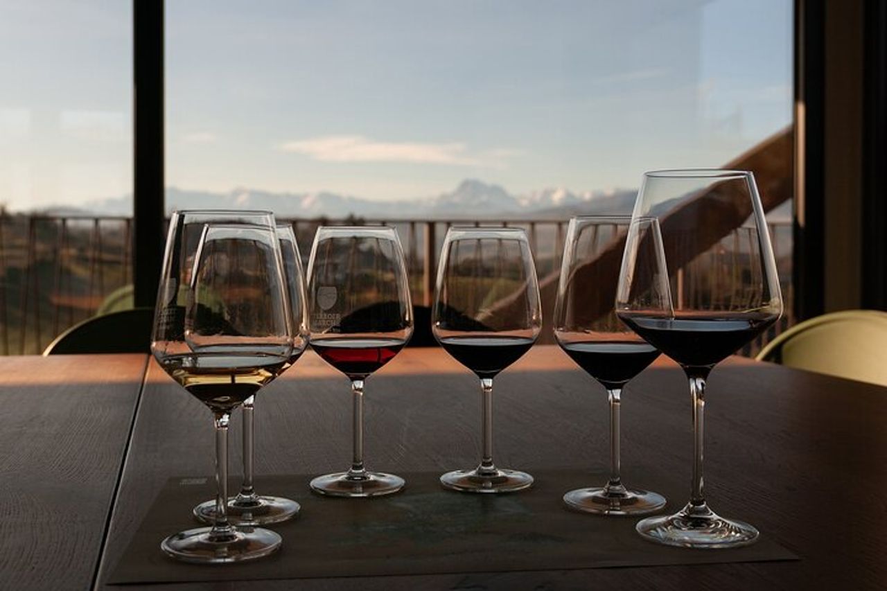 Ascoli Piceno Marche Degustazione privata di olio d'oliva e vino — 2