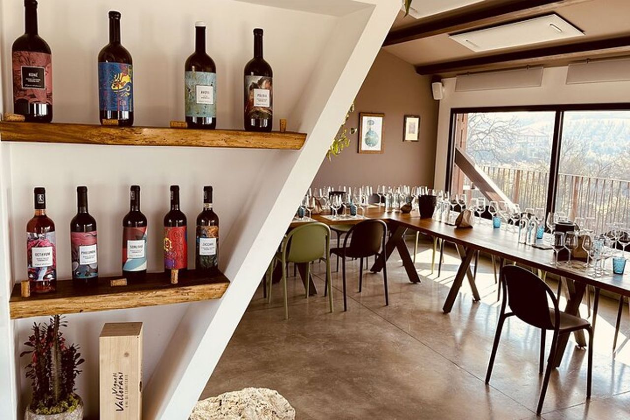 Ascoli Piceno Marche Degustazione privata di olio d'oliva e vino — 7