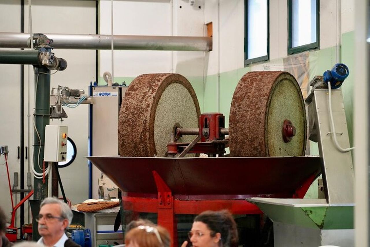Ascoli Piceno Marche Degustazione privata di olio d'oliva e vino — 5