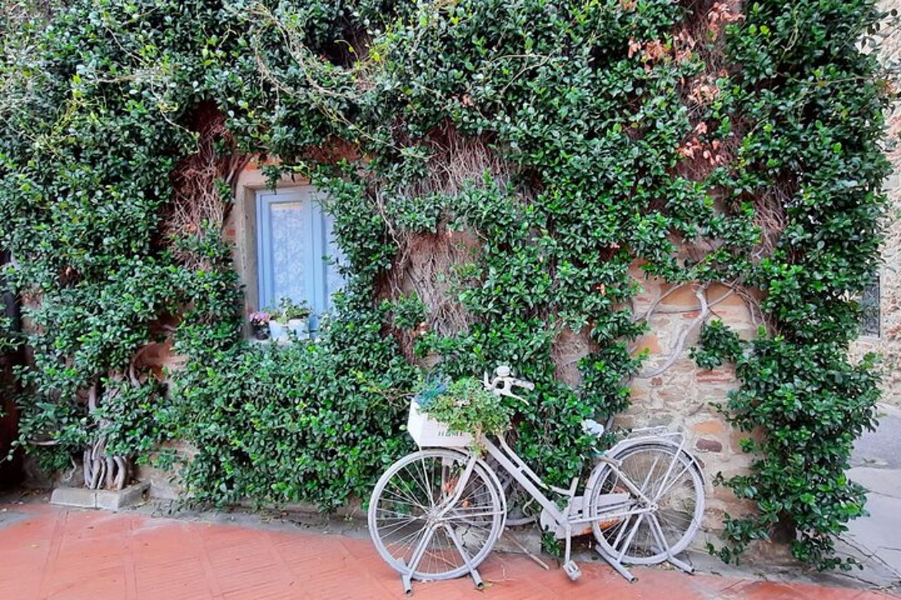 Alla scoperta delle Origini & Aperitivo LeonardoDaVinci tra i vigneti — 3