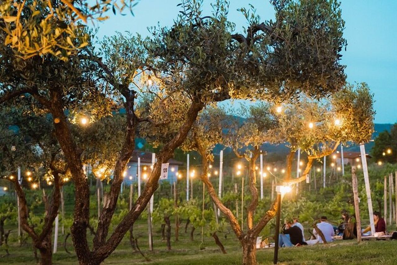 Alla scoperta delle Origini & Aperitivo LeonardoDaVinci tra i vigneti — 7