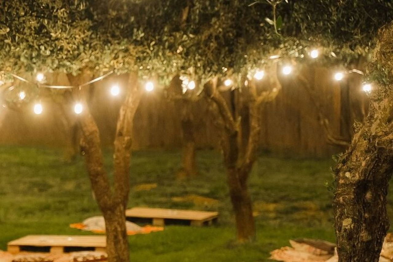 Alla scoperta delle Origini & Aperitivo LeonardoDaVinci tra i vigneti — 8