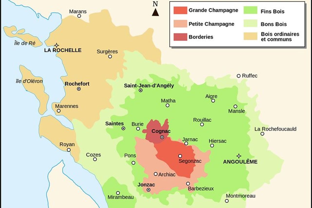 Tour privato a Cognac: una delizia per i buongustai più esigenti — 3