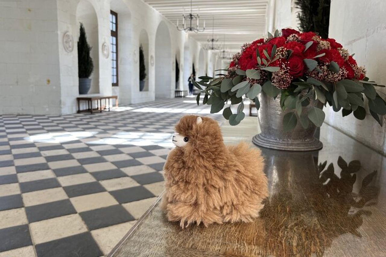 Tour privato a Cognac: una delizia per i buongustai più esigenti — 2