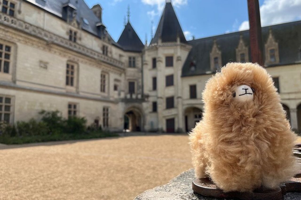 Tour privato a Cognac: una delizia per i buongustai più esigenti — 4