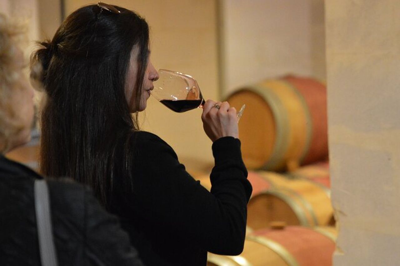 Tour del vino di mezza giornata attraverso i vigneti di Bordeaux — 7