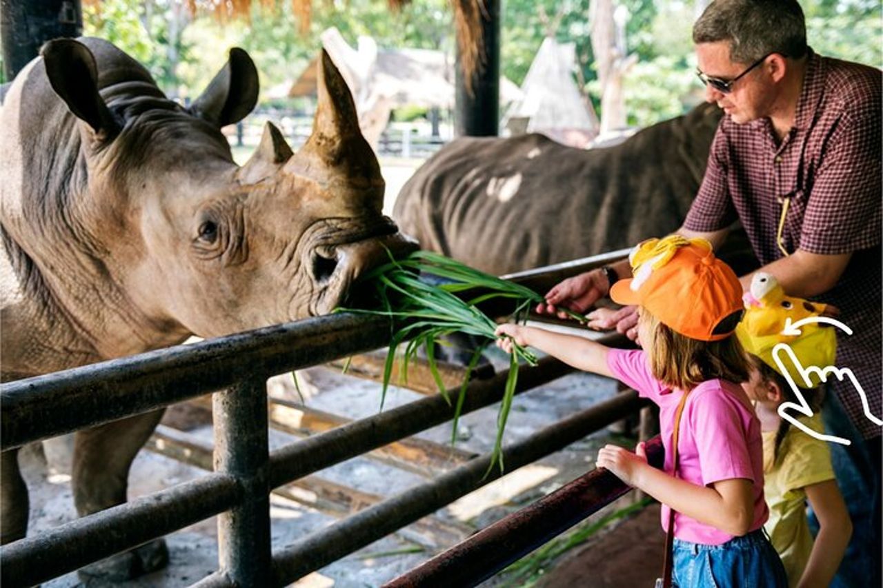 Cracovia: zoo con trasferimento in hotel — 4
