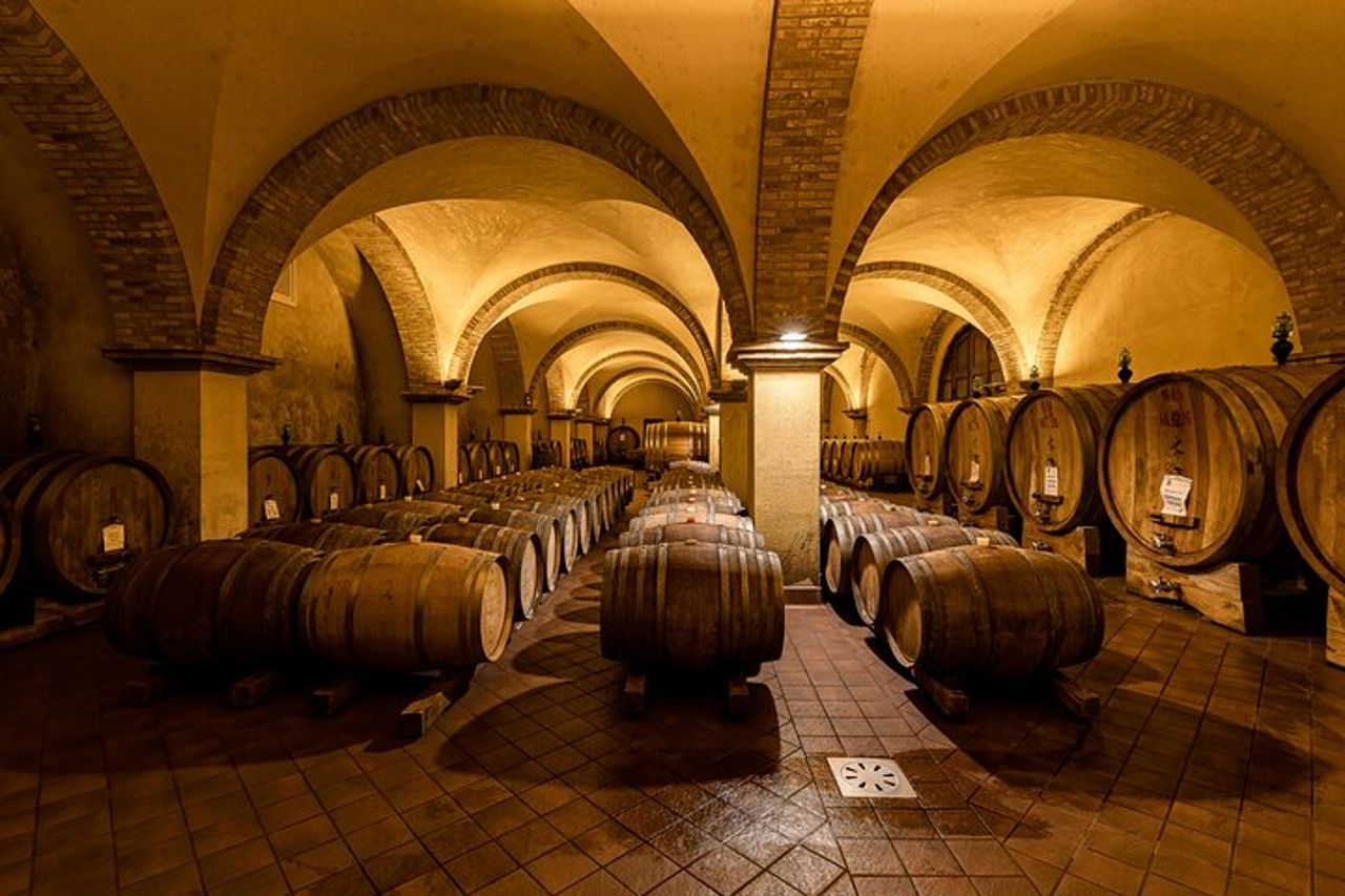 Tour del vino Brunello della Val d'Orcia con Montalcino e Montepulciano — 7
