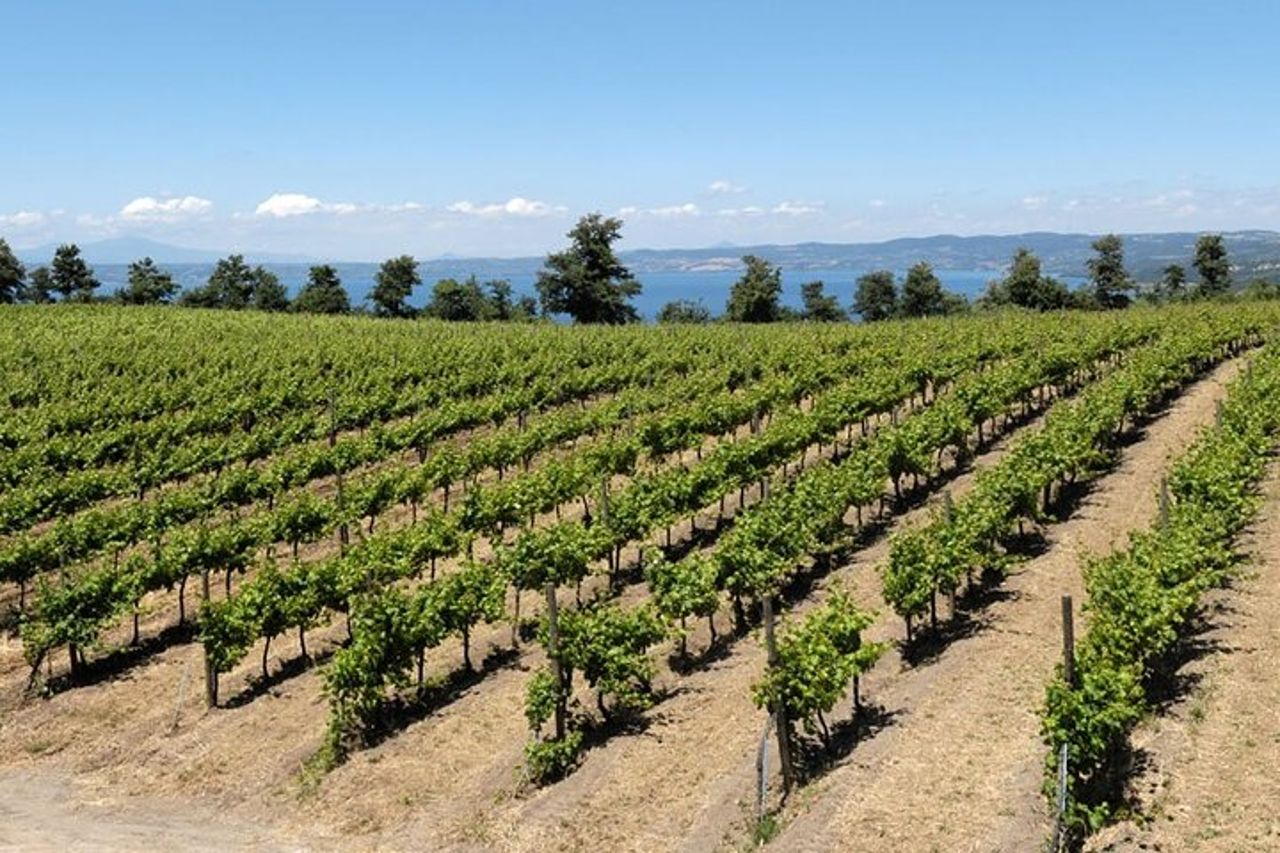 Tour in eBike della Valle del Lago con esperienza di degustazione enogastronomica — 6