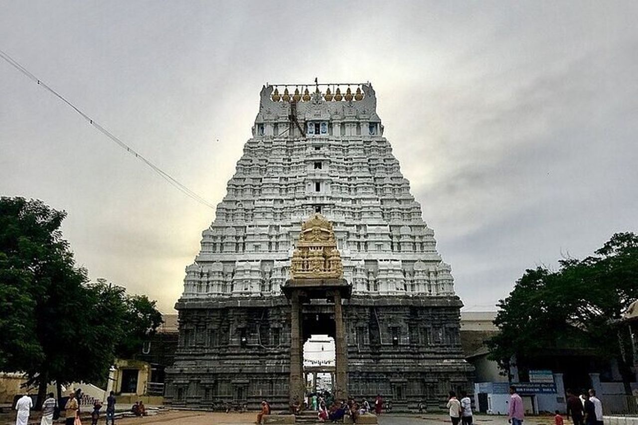 Da Pondicherry: tour di un giorno a Mahabalipuram e Kanchipuram — 6