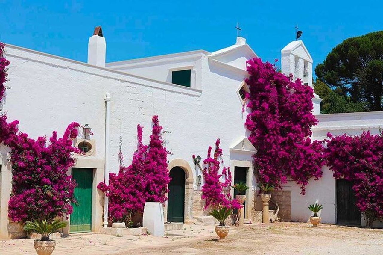 Trani : Degustazione di vini e pranzo leggero in vigna — 4