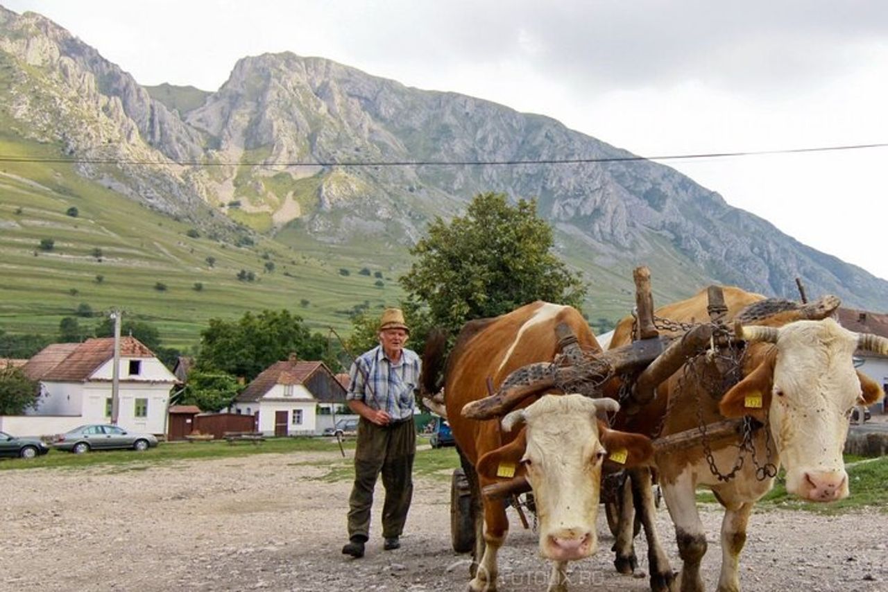 Avventura escursionistica di 2 giorni da Cluj — 4