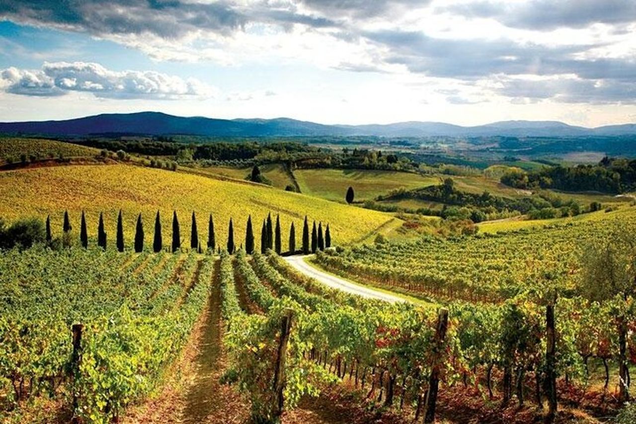 Tour in Vespa nel Chianti — 6