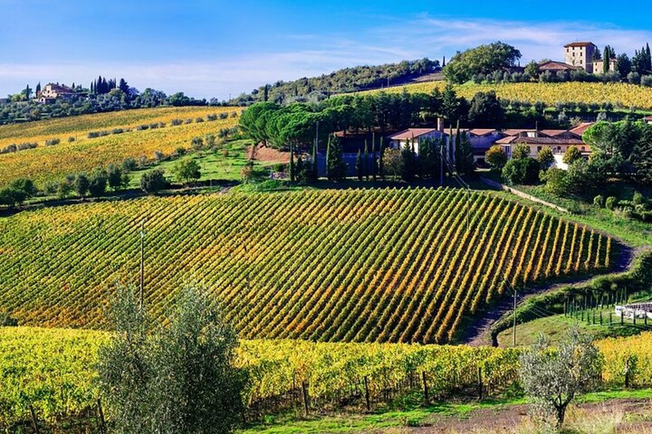 Tour in Vespa nel Chianti — 9